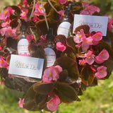 HYDRATING SERUM